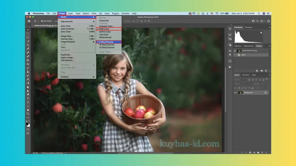 Adobe Photoshop 2024 Download (1)